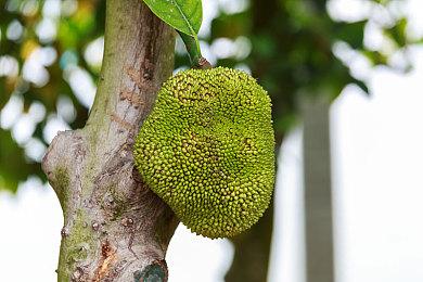 育碧关闭90款老游戏服务器 玩家仍可以离线游玩